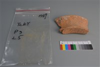 陶片藏品圖，第1張