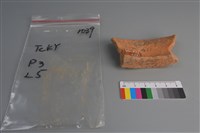 陶片藏品圖，第2張