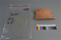 陶片藏品圖，第3張