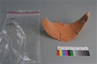 陶片藏品圖，第2張