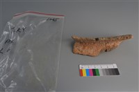 陶片藏品圖，第3張