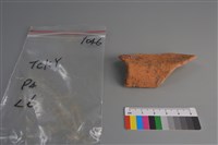 陶片藏品圖，第4張