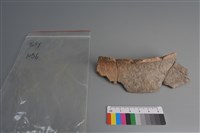 陶片藏品圖，第1張