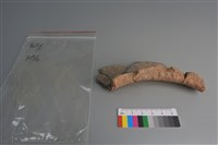 陶片藏品圖，第3張