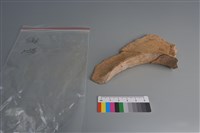 連杯形器藏品圖，第3張