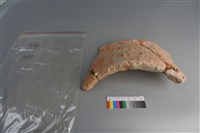 陶片藏品圖，第1張