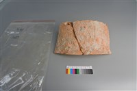 陶片藏品圖，第3張