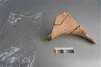 陶片藏品圖，第3張