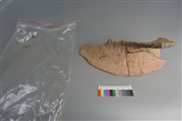 陶片藏品圖，第4張