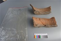 陶片藏品圖，第4張