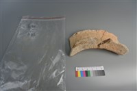 陶片藏品圖，第3張