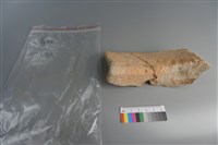 陶片藏品圖，第4張