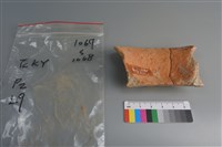 陶片藏品圖，第4張