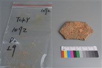 陶片藏品圖，第1張