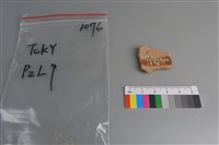 陶片藏品圖，第2張