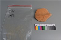 陶片藏品圖，第1張