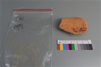 陶片藏品圖，第2張