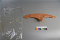 連杯形器藏品圖，第2張