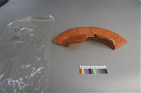 陶盆藏品圖，第4張