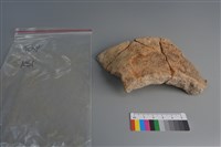 陶片藏品圖，第3張