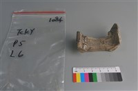 陶片藏品圖，第2張