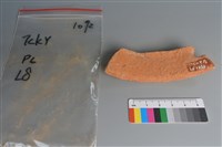 陶片藏品圖，第2張