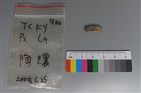 陶環藏品圖，第1張