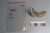 連杯形器藏品圖，第3張