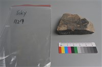 陶片藏品圖，第1張