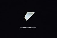 蓋藏品圖，第2張