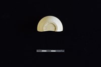 缽藏品圖，第4張