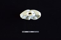 瓷玩具藏品圖，第3張