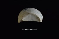 燉鍋藏品圖，第2張