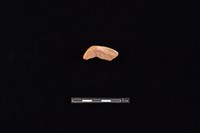 連杯藏品圖，第1張