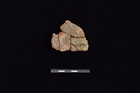 陶片藏品圖，第2張