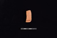 陶片藏品圖，第2張