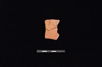 陶片藏品圖，第1張