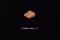 連杯藏品圖，第1張