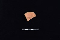 陶片藏品圖，第2張