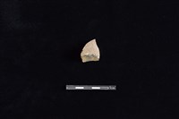 硬陶片藏品圖，第1張