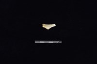 茶壺藏品圖，第1張