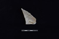 硬陶片藏品圖，第2張