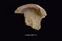 硬陶片藏品圖，第2張
