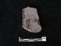 陶片藏品圖，第1張