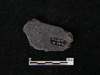 陶片藏品圖，第2張