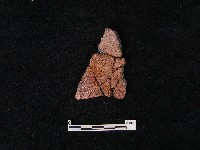 陶片藏品圖，第2張