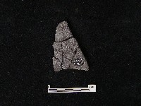 陶片藏品圖，第1張