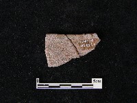 陶片藏品圖，第2張