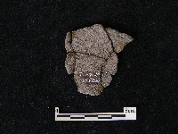 陶片藏品圖，第2張