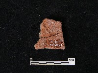 陶片藏品圖，第1張